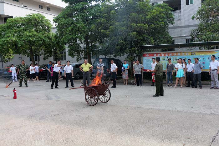 1533271757457533.jpg 2.jpg