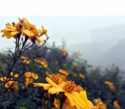 1534298629521317.png 11.png