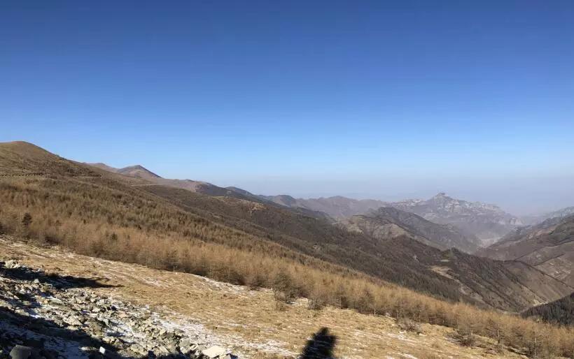 1550126552542171.jpg 13.jpg